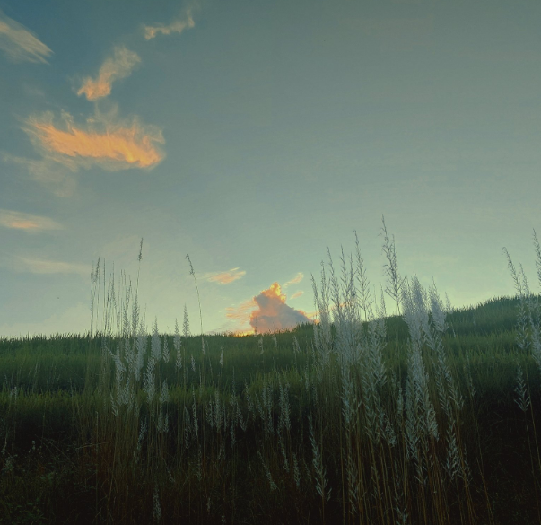 kathmandu, np